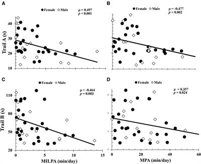 Moderate intensity intermittent lifestyle physical activity is associated with better executive function in older adults